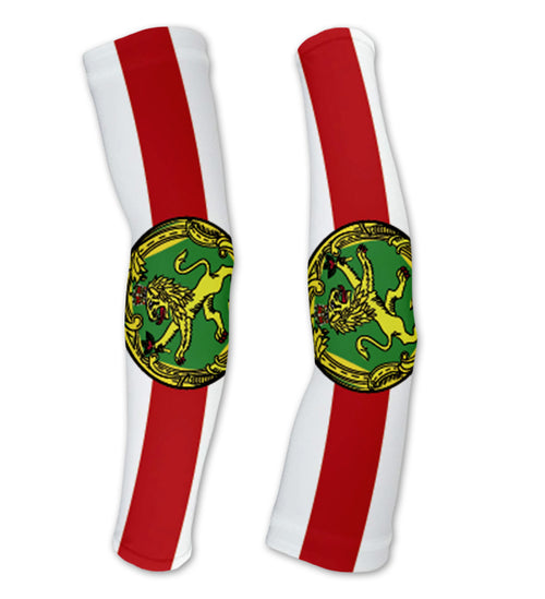 Arm Sleeves