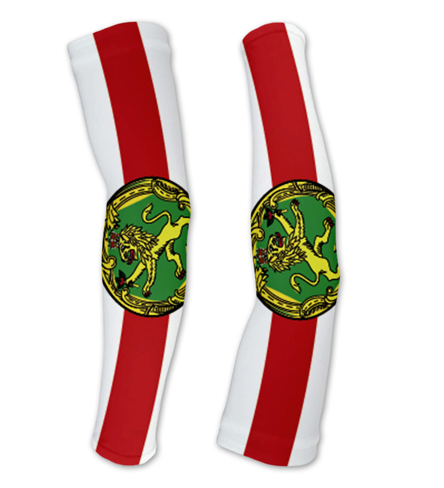 Arm Sleeves