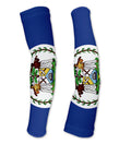 Arm Sleeves