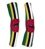 Arm Sleeves