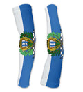 Arm Sleeves